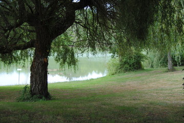 Arbre