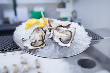 Fresh Oysters close-up on plate, served table with oysters, lemon and ice. Healthy sea food.