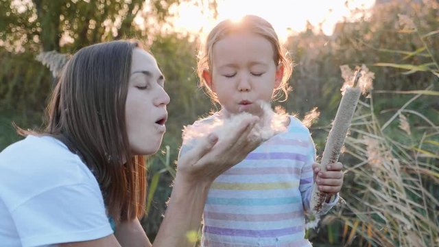 Mom and daughter having fun and blowing Dandelion seeds while relaxing at nature