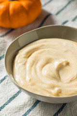 Healthy Organic Pumpkin Spice Yogurt