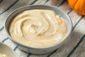 Healthy Organic Pumpkin Spice Yogurt
