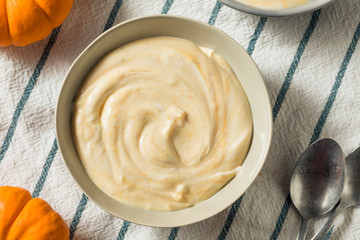 Healthy Organic Pumpkin Spice Yogurt