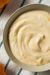 Healthy Organic Pumpkin Spice Yogurt
