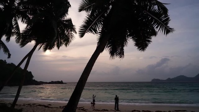 A static silhouette shot of a family relaxing, taking smartphone and tablet photos on Takamaka beach, Seychelles at sunset, palm trees blowing in the wind. Slow motion 50p.