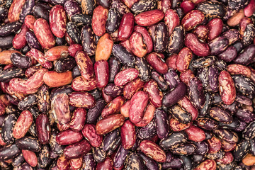 different varieties of red beans 