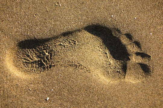 Footprint in the Sand