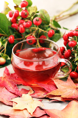 Tea. cup of herbal Dog rose tea with bunch branch Rosehips, types Rosa canina hips. Medicinal plants and herbs composition.
