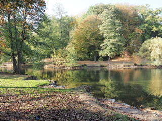 Furpacher Weiher bei Neunkirchen im Saarland
