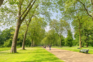 Path in Hyde Park, in central London, UK