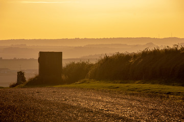 Sunset over a Field