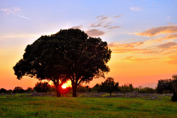 sunset in the valley of the ancient ruins of remains of religious buildings of the ancient Greek...
