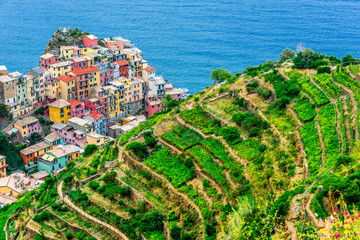 Picturesque town of Manarola, Liguria, Italy