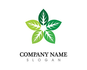 leaf green nature logo and symbol template Vector