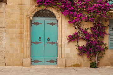 Fototapeta na wymiar Ancient maltese house with blue wooden door and pink bougainvillea in the wall
