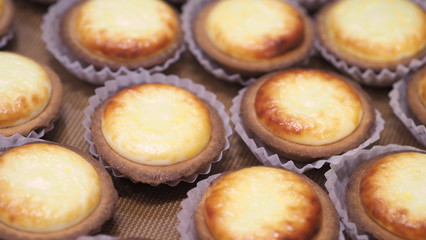 Close-up cheese tarte special fresh and unique taste baking out from oven machine everyday which delicious and very famous local sweet dessert from Otaru Hokkaido Japan.