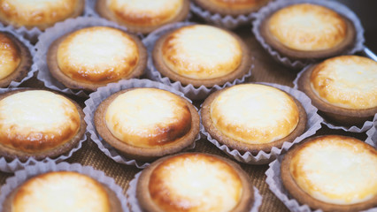 Close-up cheese tarte special fresh and unique taste baking out from oven machine everyday which delicious and very famous local sweet dessert from Otaru Hokkaido Japan.