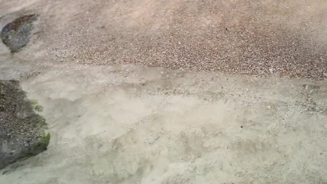 An overview/overhead video of small tropical beach waves crashing on the white sea sand with shells, rocks in Seychelles. (Close-up shot) Slow motion 50p.
