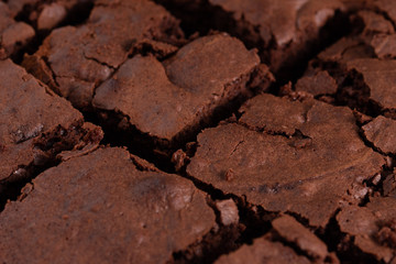 Slices of chocolate brownie