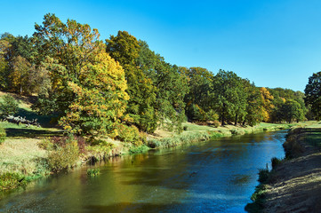 Trees on the banks of the Nysa Łużycka during autumn on the border between Poland and Germany.