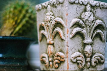 fleur de lis pot with cactus in background