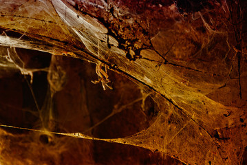 Halloween spooky background with huge, natural spiderweb in front of cave window. Back lit.