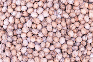 texture of a set of walnuts in the shell as a background