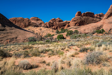 Fototapeta premium Arches national park in Utah USA