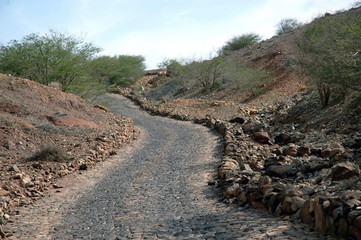 Chemin de pierre et arbustes, Ile de Sal, Cap Vert, Afrique de l'Ouest