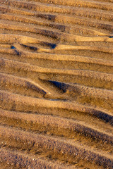 Tentsmuir Beach, Shapes in the sand