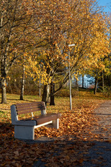 Quiet evening at the park