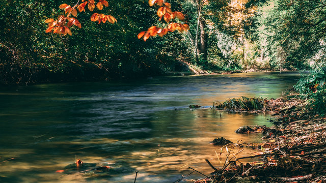 weichgezeichnets Wasser mit buten Herbstfarben