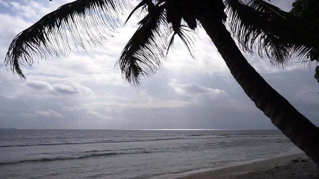 An almost stormy morning sunrise with a silhouette palm tree, scattered clouds, unpredictable weather, Anse Fourmis, Seychelles. Slow motion 50p.