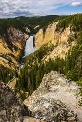 Yellowstone Falls