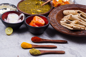 indian traditional palak paneer 