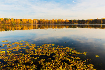 Beautiful landscape. Big lake in autumn forest. Autumn nature