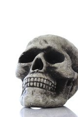 Halloween Skull with reflection