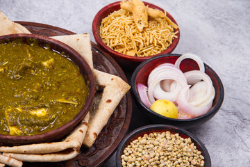 indian traditional palak paneer 