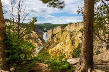 Yellowstone Falls