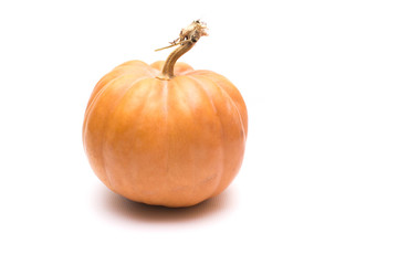 Pumpkin on a white background, pumpkin isolated.