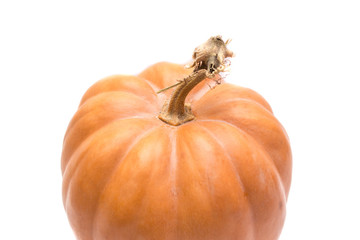 Pumpkin on a white background, pumpkin isolated.
