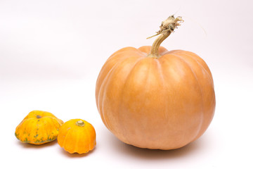 Pumpkin on a white background, pumpkin isolated.