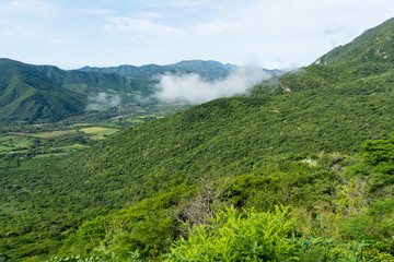 Fototapeta premium campo cuatro