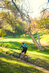 Biking in the forest.