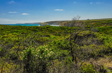 The twelve apostles.