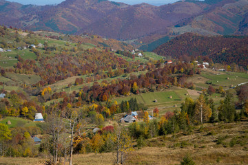 Autumn landscape in the countryside