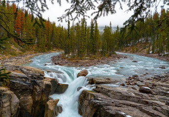 A beautiful glacier fed waterfall surrounds an island of trees