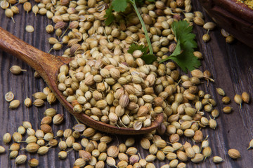 Coriander seeds, fresh coriander and powdered coriander