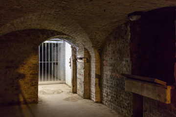 Metal barred gate in a cellar room.