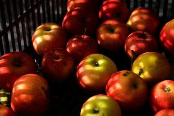 red apples