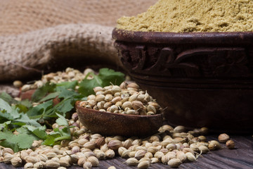 Coriander seeds, fresh coriander and powdered coriander
